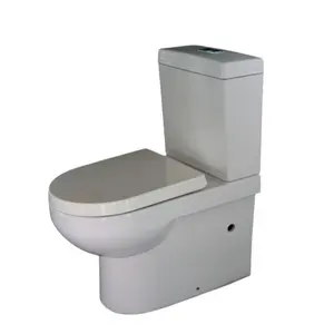 Toilette domestique à chasse d'eau en céramique style siphon deux pièces à prix direct d'usine