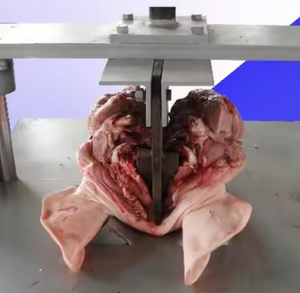 <span class=keywords><strong>Cabeza</strong></span> <span class=keywords><strong>de</strong></span> cerdo hidráulica media Sierra dividida vaca cabra <span class=keywords><strong>cabeza</strong></span> cortador divisor ganado oveja <span class=keywords><strong>cabeza</strong></span> mitades máquina <span class=keywords><strong>de</strong></span> corte dividida - Product Image 5