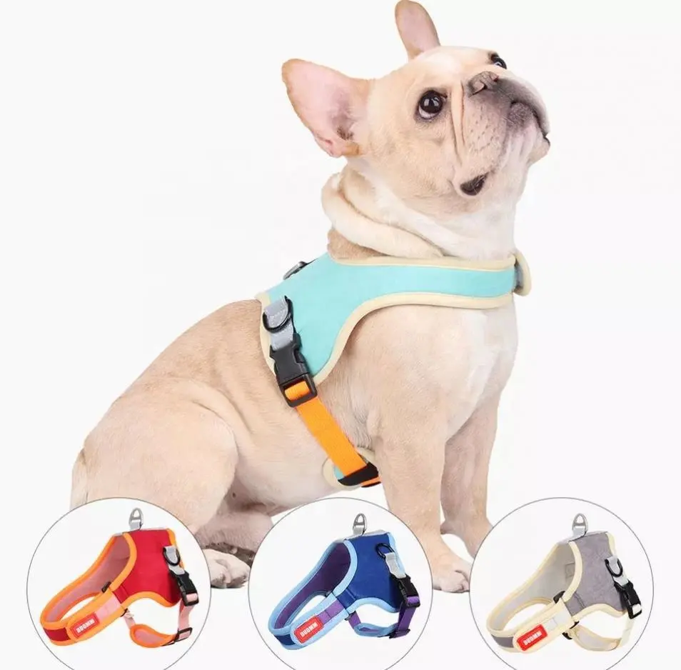 Articoli per cani Set cinturino al guinzaglio per cani gilet di sicurezza riflettente per animali domestici corda da arrampicata guinzaglio per cani