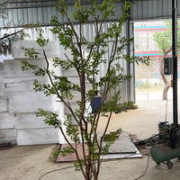 Plántulas Artificiales de Árbol Verde Oriental con Copas Completas, Simulación de Olivo Dulce, Semillas para Plantación Temporal