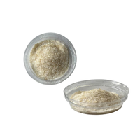 Polysaccharide de Tremella Fuciformis de haute pureté, matière première de champignon pour la fabrication d'intermédiaires cosmétiques et de boissons fonctionnelles