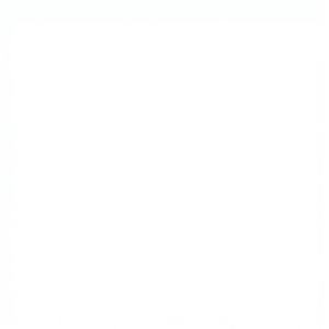 กระเบื้องเซรามิกขัดเงาทันสมัย พร้อมคุณสมบัติทนไฟ สำหรับใช้ในซูเปอร์มาร์เก็ตและห้างสรรพสินค้า รุ่น 1014-D ขนาด 300x600 มม. - Product Image 1