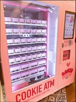 Distributeur Automatique Focusvend Grande Capacité avec Étagères Réglables pour Biscuits, Chips, Bonbons, Gâteaux et Fromages