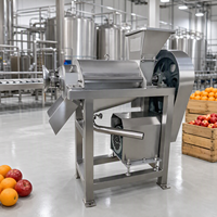 Efficiënte commerciële automatische spiraalpers - Hoge productiviteit 220V motor 2200W fruit- en groentesap fruitverwerkingsinstallatie