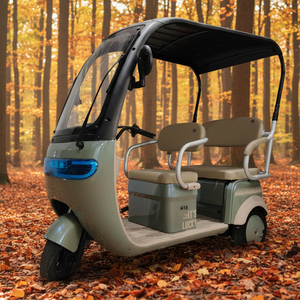 Triciclo Eléctrico de 48v 60v con Carrocería Abierta, Tres Asientos Ajustables para Uso Doméstico, Vehículo Pequeño de Pedales para Dos Personas - Product Image 1