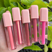 Nouveau Tube Rose Vegan Lipgloss Marque Privée Mat Liquide Rouge À Lèvres Étanche Brillant À Lèvres Maquillage Logo Personnalisé En Vrac