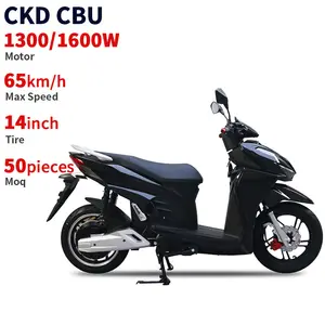2024 new design cool style electric motorcycle 1300/1600W powerful electric pedal scooter