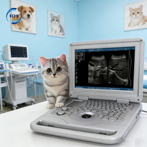Máquina de Ultrasonido Veterinario de Imágenes Nítidas con Rango Dinámico Ajustable para Uso Diario en Clínicas de Animales Pequeños y Hospitales Veterinarios - Product Image 1