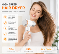 Sèche-cheveux professionnel pliable haute vitesse 110000 tr/min avec moteur sans balais, portable, à ions négatifs, pour voyage