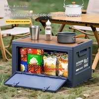 Boîte de rangement rectangulaire pliable en PP pour extérieur, scellée, capacité 40L-50L, moulée par injection, portable, pour camping et coffres de voiture, design moderne