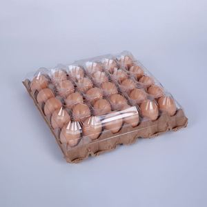 Quality Assurance Convenient <b>Large</b> PET <b>Plastic</b> 30 Holes Egg <b>Tray</b> for Food Shop Restaurant - Product Image 1