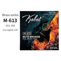 High Quality 6-String Acoustic Guitar Set Cheap Brass Musical Instruments M-610 Strings Stringed Instruments Parts Accessories