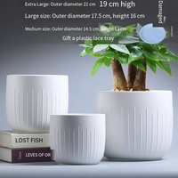 Pot de fleurs en résine de style nordique minimaliste à bords droits, avec contrôle des racines et large ouverture, élégant, pour arbres du dragon