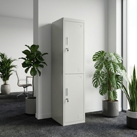 Armoire de rangement moderne en acier à 2 portes verticales avec miroir, portes verrouillables, penderie et étagères pour appartement et chambre