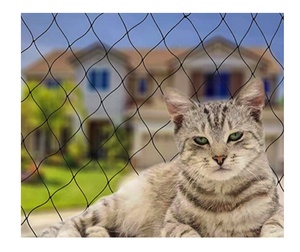 Red de Seguridad <span class=keywords><strong>para</strong></span> Balcón <span class=keywords><strong>para</strong></span> <span class=keywords><strong>Gatos</strong></span>, Red Anti-Caídas <span class=keywords><strong>para</strong></span> <span class=keywords><strong>Gatos</strong></span>, <span class=keywords><strong>Redes</strong></span> <span class=keywords><strong>para</strong></span> Perros, Red de Nailon Negra <span class=keywords><strong>para</strong></span> Mascotas - Product Image 1