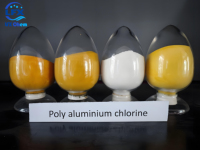 30% Poly chlorure d'aluminium coagulant floculant PAC traitement des eaux usées traitement des eaux usées traitement des eaux usées personnalisé