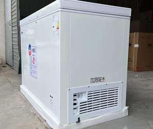 Réfrigérateurs horizontaux commerciaux pour la congélation de la viande surgelée et de la crème glacée, adaptés à 300 litres. - Product Image 3