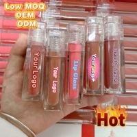Gloss à lèvres pour maquillage des lèvres, rouge à lèvres longue tenue, gloss teinté, gloss à lèvres en marque privée, OEM ODM
