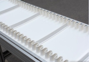 Weißer Schräg band förderer in Lebensmittel qualität für die Lebensmittel industrie. - Product Image 5