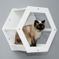 Hamac mural pour chat, motif jungle, écologique, à fixation murale, avec plateau en bois massif, amovible et lavable – Nouveauté très demandée