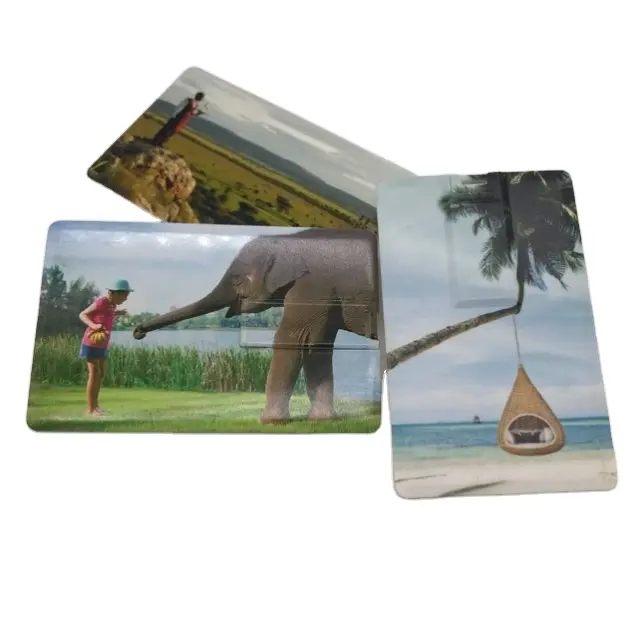 wholesale high quality card usb pendrives card style usb flash drives from professional manufacture H