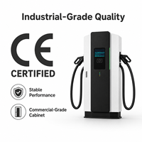 Chargeur rapide DC 30-480 kW OCPP 1.6J à double connecteur pour véhicules électriques, station de recharge CCS2 CCS1 GBT pour parking commercial