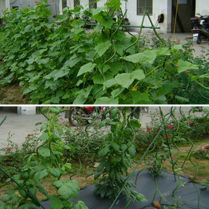 Piquets et supports de plantes en métal Supports de plantes à arc grimpant <span class=keywords><strong>pour</strong></span> <span class=keywords><strong>fleurs</strong></span>/roses/tomates - Product Image 3