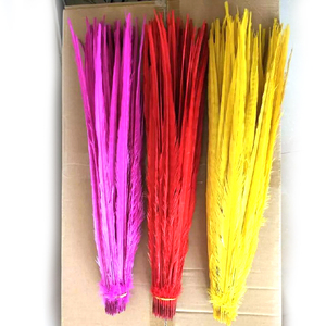Plumas <span class=keywords><strong>de</strong></span> Cola <span class=keywords><strong>de</strong></span> Faisán Teñidas al por Mayor, Plumas <span class=keywords><strong>de</strong></span> Cola <span class=keywords><strong>de</strong></span> Faisán Ringneck Baratas para Disfraces <span class=keywords><strong>de</strong></span> <span class=keywords><strong>Carnaval</strong></span> y Festivales - Product Image 2