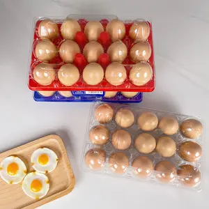 15-Hole Egg Tray Pet Plastic Disposable Supermarket Colored Egg Carton