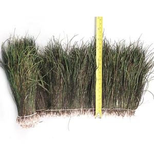 Plumes de paon lavées en gros d'usine, motif 15-20 cm, enfilées pour la pêche à la mouche - Product Image 3