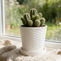 Plateau de pot de fleurs en résine plastique tressée durable avec trou de drainage, design traditionnel, pour orchidées d'intérieur, plantes grimpantes et succulentes