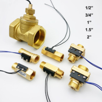 Interrupteur de débit en laiton 1/2" 3/4" / Capteur de niveau d'eau basse avec 2 fils à contact magnétique FS-3S/FS-4S/FS-5CM pour le contrôle des pompes à eau