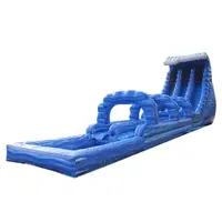 Funworld - Giant Inflatable Water Slides with Pool for Sale