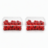 Contenants d'emballage alimentaire rectangulaires en plastique PET transparent recyclable, dimensions personnalisables, impression possible