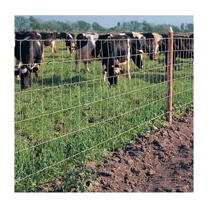 Cerca de jogo de alta elasticidade/cerca de campo de fazenda galvanizado nó fixo malha de arame cerca de fazenda gado para cavalo de veado