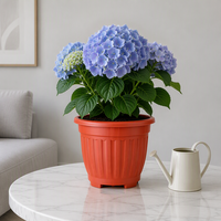 Pot de fleurs en plastique PP léger de style européen moderne minimaliste antique romain de haute qualité pour jardinage intérieur avec drainage