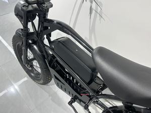 Bicicleta Eléctrica de Montaña JS-HaLei 1, de Alta Velocidad, 350W, 48V, 12Ah, con Motor de Tambor y Neumático de 20 Pulgadas, Precio de China, Gran Venta Estructura de Acero de Alta Calidad - Product Image 6