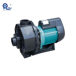 WATER CROWN SG01 Precio de Fábrica Bomba de Agua de 1 HP con Carcasa de Fibra de Vidrio, Caudal de 67.3 gpm para Piscina, CA 110-240V, Enchufe Europeo - Product Image 4