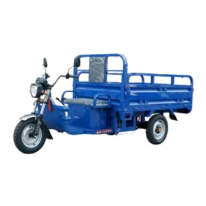 1000W Motor Electric Cargo Tricycle with Wagon Tricycle Electric Trike Tricycle for Cargo