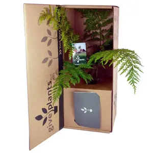Caja de plantas con envío directo, embalaje personalizado para plantas suculentas, Cartón corrugado móvil