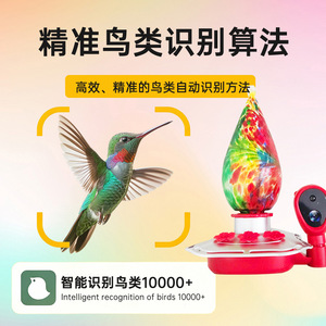 เครื่องจ่ายน้ำอัจฉริยะสำหรับนกฮัมมิงเบิร์ด พร้อมกล้อง ถ่ายภาพได้ สีสันสดใส ถอดประกอบได้ เหมาะสำหรับนกในสวนหลังบ้าน - Product Image 4
