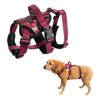 Harnais anti-évasion pour chien, respirant, réglable, réfléchissant, anti-évasion, avec sangle supplémentaire pour chiens de taille moyenne à grande