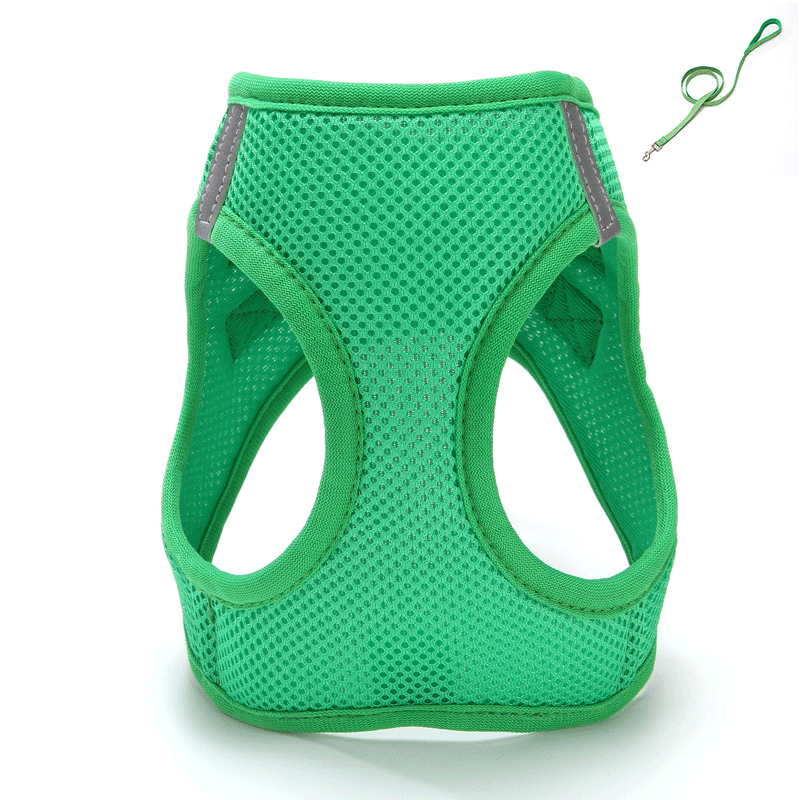 Vert