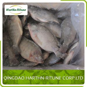Meilleur Prix Tilapia Frais Congelé <span class=keywords><strong>Filet</strong></span> De Poissons - Product Image 3