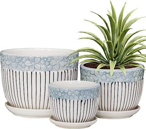 Best Gift Coolers for Plant Lovers and Home Decor Enthusiasts