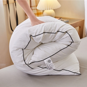 Nhà máy tùy chỉnh lông gối sợi nhỏ gối bên trong đệm 45*45cm, 50*50cm, 50*70 ,60*60cm vv. - Product Image 6