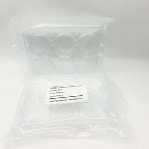 XZ Lab Supplies จานเพาะเชื้อ 6 หลุม ขนาด 150 มม. ผ่านการฆ่าเชื้อ บรรจุแยกชิ้น - Product Image 6