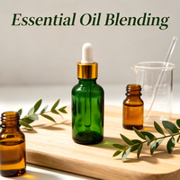 Flacons compte-gouttes en verre vides de 5 ml, 10 ml, 15 ml, 20 ml, vert, bleu, ambre, étanches, rechargeables pour huiles essentielles, cosmétiques