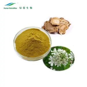 Chất Lượng Hàng Đầu Angelicae Pubescentis Radix Extract Angelica Pubescent Root Extract Powder