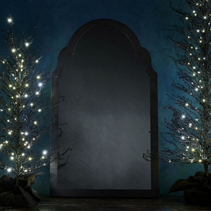 Nouveauté : Cadre photo en bois ondulé avec miroir holographique fantôme pour Halloween, décoration murale pour la maison et le magasin, ambiance effrayante - Product Image 3